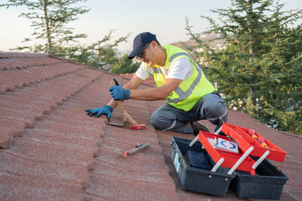 Roof Gutter Cleaning in Allouez, WI